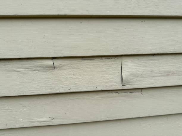 Best Custom Trim and Detailing for Siding  in Sullivan, IN